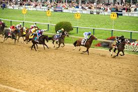 Horses race on a dirt track at the Preakness Stakes, surrounded by a cheering crowd and visible track markers.
