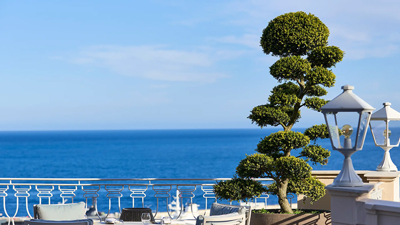 Elegant Monaco Hotel Hermitage balcony overlooking the sea, featuring sculpted topiary and white lounge chairs, ideal for Monte Carlo luxury accommodations.