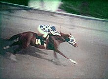 Kentucky Derby Horse Secretariat
