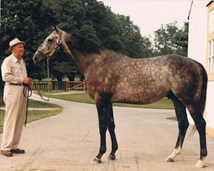 Kentucky Derby Horse Spectacular
