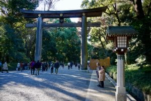 Yoyogi Koen Park Shibuya